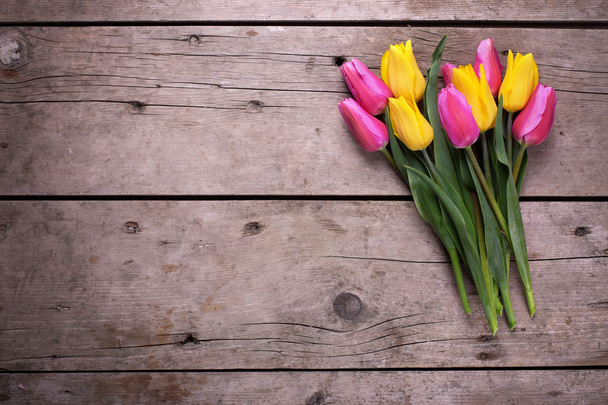 Bright yellow and pink tulips  - Fotó, kép