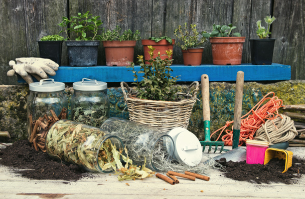 Herbes sèches en bouteilles et outils de jardinage
 - Photo, image