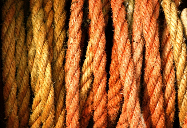 Верёвка оранжевого и желтого цвета
 - Фото, изображение