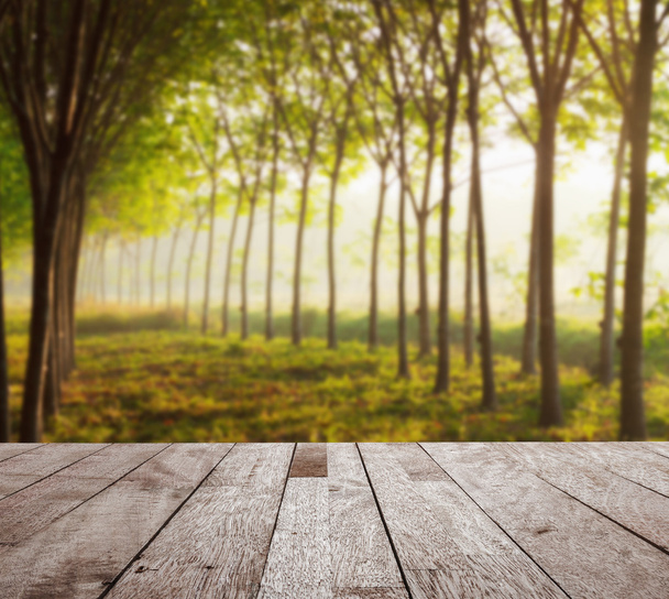 Дерев'яна стільниця на розмитому пара гумовому саду вранці
  - Фото, зображення