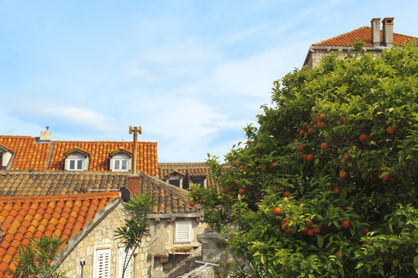 Vue sur la célèbre ville de Dubrovnik en Croatie
 - Photo, image