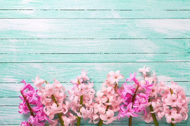 Background with fresh pink flowers - Fotó, kép