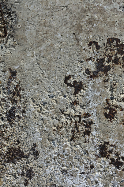 Background from high detailed fragment stone wall - Valokuva, kuva