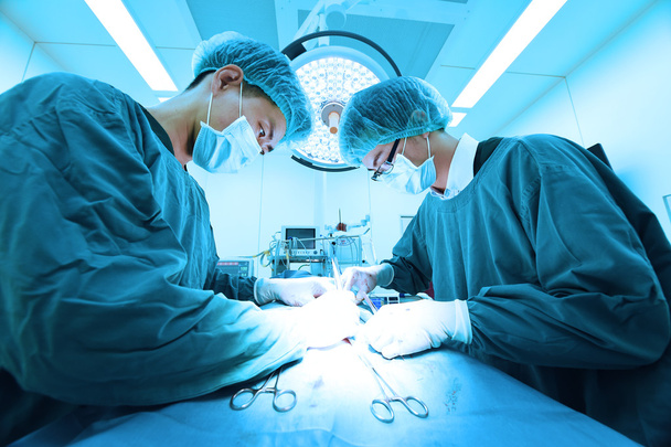 two veterinarian surgeons in operating room  - Foto, Bild