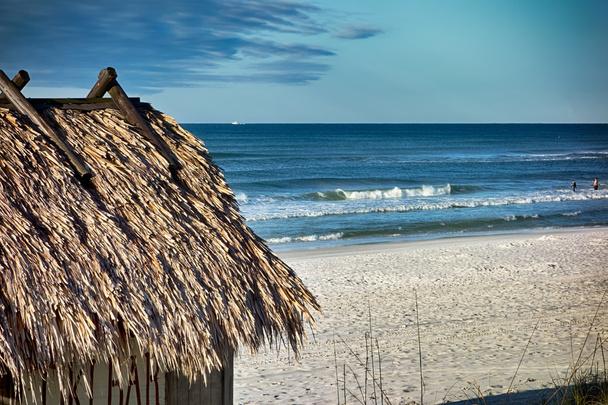 plážový bar tiki hut na oceánu - Fotografie, Obrázek