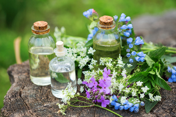 Essential aroma oils in bottles  - Фото, изображение