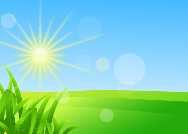 Nature background - Vector, Image