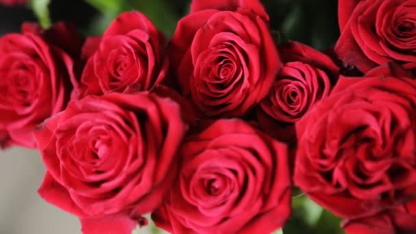 Egy gyönyörű vörös rózsa csokor. - Felvétel, videó