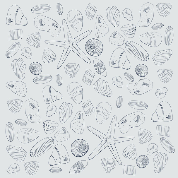 Stenen van de zee en schelp patroon - Vector, afbeelding