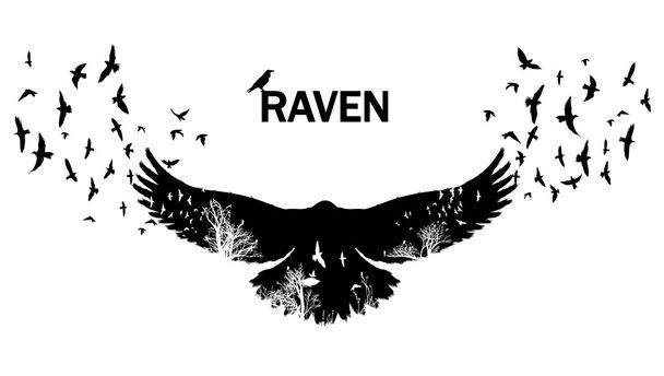 The black raven fluttering. Double exposure effect - Vector, Image