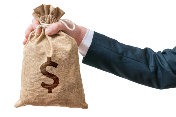 Hand of businessman holds bag full of money. Isolated on white background. - Foto, imagen