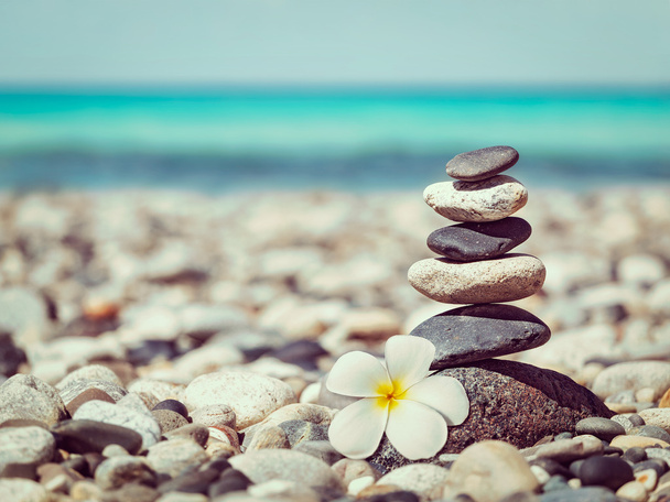 Zen pila pietre bilanciate con fiore di plumeria
 - Foto, immagini