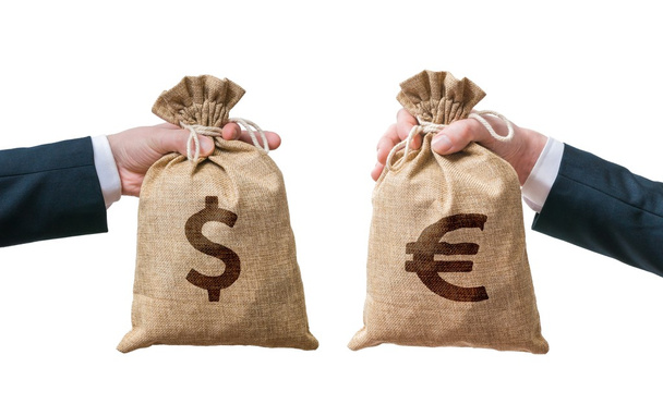 Exchange currency concept. Hands holds bags full of money - Dollar and Euro. - Photo, Image