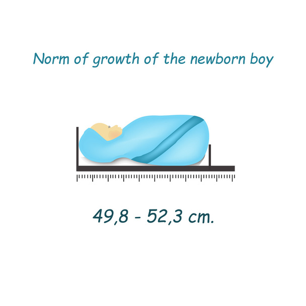 Standards lengths of a newborn boy. Infographics. Vector illustration on isolated background - Vector, Image