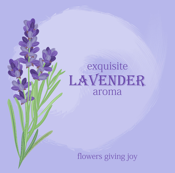 Tak van bloemen van lavendel. - Vector, afbeelding