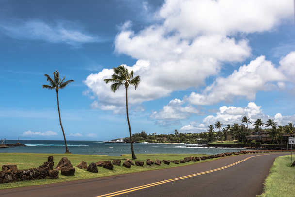 Στα παράλια κατά μήκος Μάουι, Χαβάη - Φωτογραφία, εικόνα