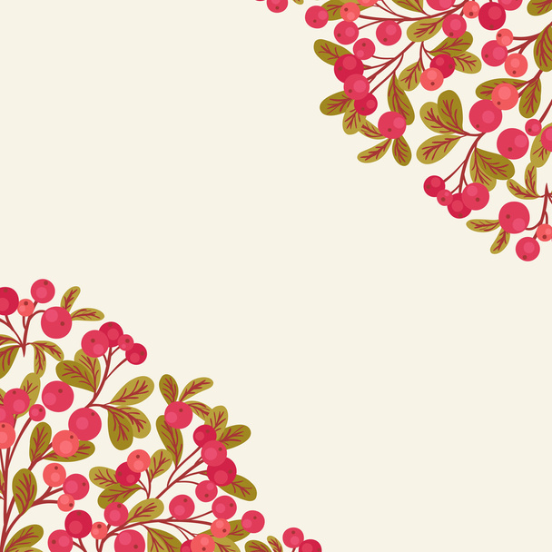 Cranberry with leaves. Vector background - Вектор,изображение