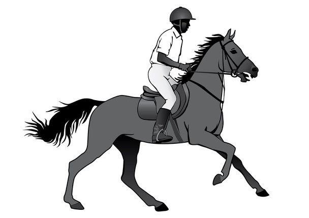 jezdec na koni - Vektor, obrázek