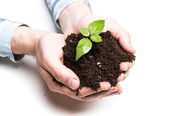 hands holding soil and plant - Foto, Bild