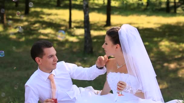 結婚式の花嫁と花婿屋外 - 映像、動画