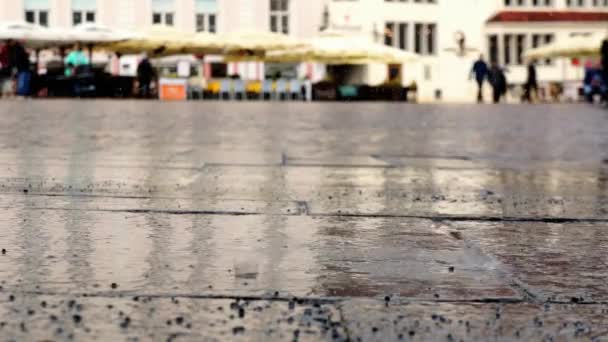 Патернування дощів на площі Ринок
 - Кадри, відео