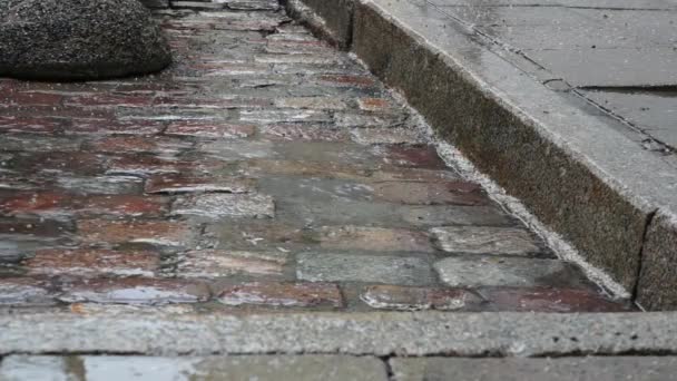 Yağmur plattering cobblestones üzerinde - Video, Çekim