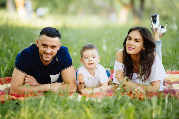 ευτυχισμένη οικογένεια δαπάνες χρόνου τους στο πάρκο για πικ-νικ - Φωτογραφία, εικόνα