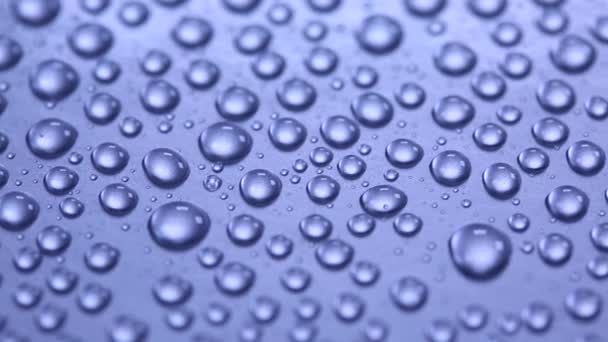Background with water drops  - Footage, Video