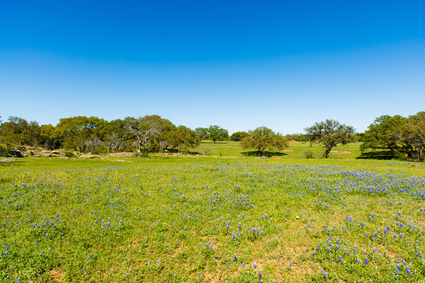 Texas Hill Country - Photo, Image