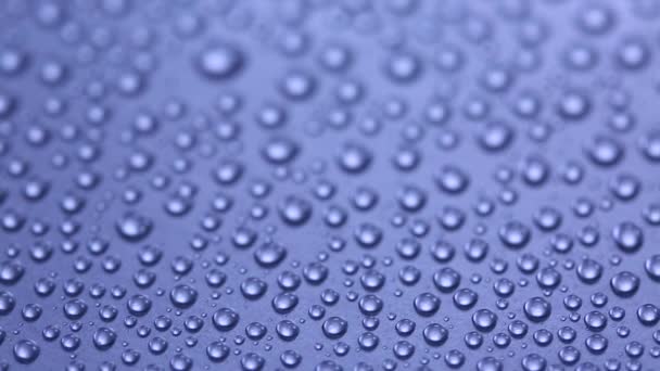 Background with water drops  - Footage, Video