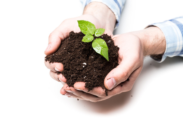 hands holding soil and plant - Фото, изображение