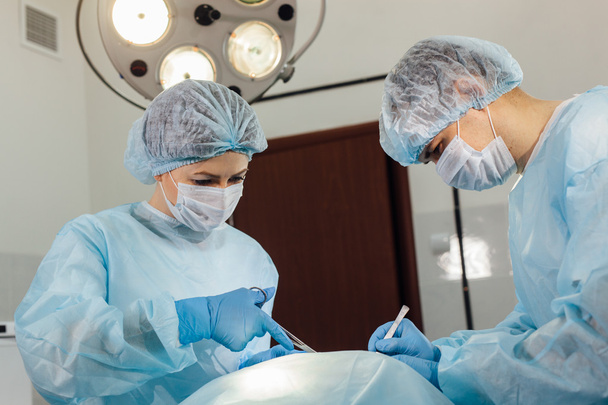 Команда хірургів, що працює з моніторингом пацієнта в хірургічній операційній
. - Фото, зображення