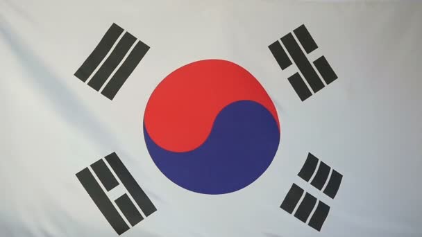 Bandiera tessile reale rallentatore della Corea del Sud
 - Filmati, video
