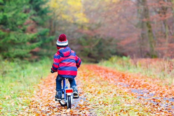 Dítě chlapec s kole v podzimním lese - Fotografie, Obrázek