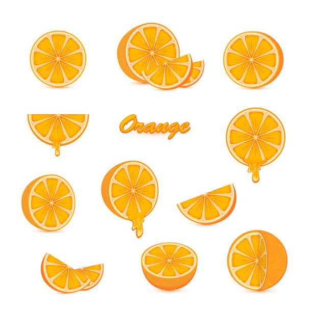Set of oranges on white background - Vector, afbeelding