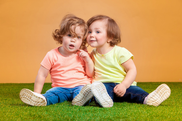 Happy funny girl twins sisters playing and laughing - 写真・画像
