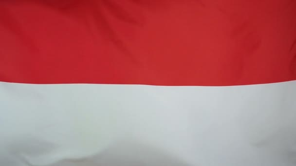 Bandiera tessile reale rallentatore dell'Indonesia
 - Filmati, video