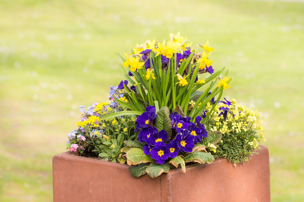 Rectangular flower pot in a park - Photo, Image