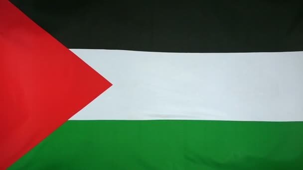 Bandiera di Stato della Palestina
 - Filmati, video