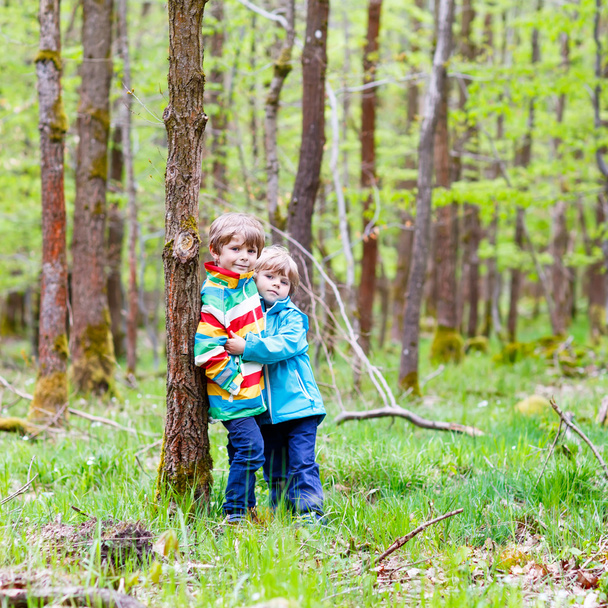 Zwei kleine Jungen laufen an kalten Tagen durch den Wald - Foto, Bild
