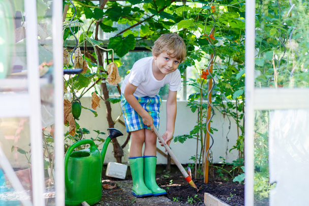 子供男の子の温室で園芸用の鍬での作業 - 写真・画像