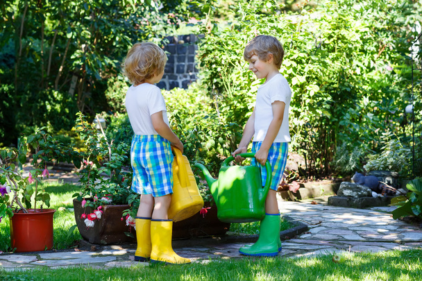 Two little kid boys watering plants in greenhouse in summer - Foto, imagen