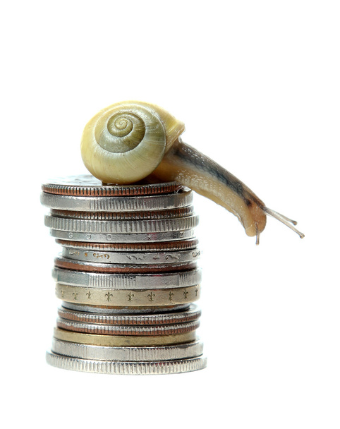 Snail on top of coins - Photo, Image