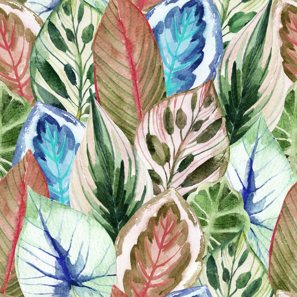 watercolor tropical leaves  - 写真・画像