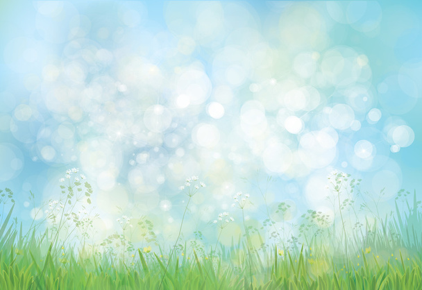 green grass  and flowers border  - Vector, Image