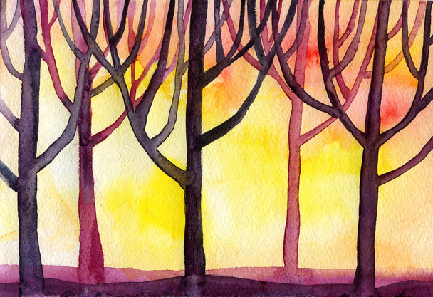 Watercolor sunset forest trees background - Foto, Imagen