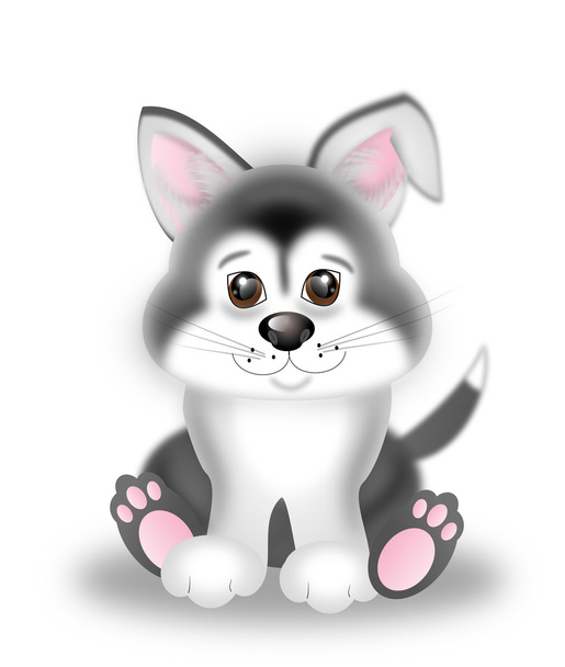 Cute siberian husky puppy - 写真・画像