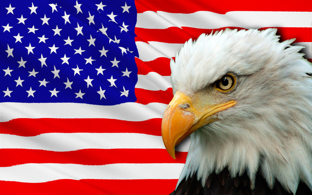 flaga USA - Zdjęcie, obraz