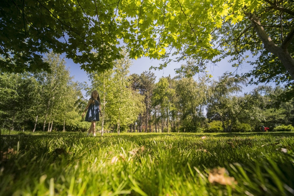 Little girl under green trees in park and sunlight - Zdjęcie, obraz