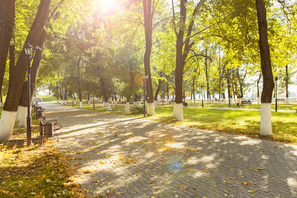 sonniger Tag im Stadtpark. Einfache Landschaft. Herbstliche Parkbäume und gepflasterte Straße - Foto, Bild